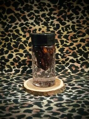 Jezebel ~ Ritual Oil ~ Magick Elixir ~ Metaphysical